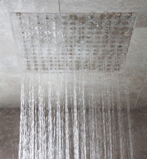 Modern bathroom renovation Toronto (rainhead shower)